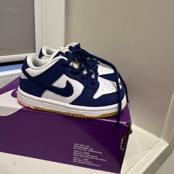 Nike Other - Nike SB Dunks Toddler